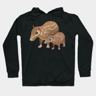 Lowland paca rodent Hoodie